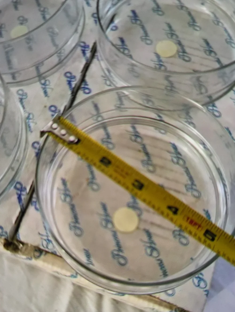 Clear Glass Salad Bowls - 4 Pack